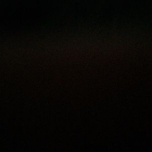 Meet your Posher, Landyn